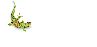 BOSTIK LOGO